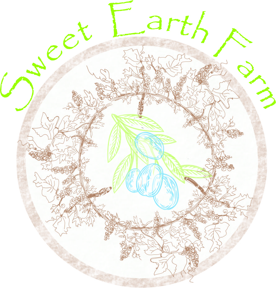 Logo Design by Sandro for this project | Design #18226868