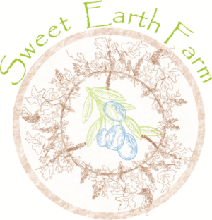 Logo Design by Sandro for this project | Design: #18226868