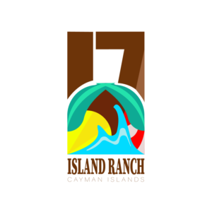 Logo Design by Studio Camel for this project | Design: #18352610