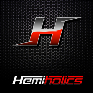 Diseño de Logo por vladst2004 para HEMIHOLICS | Diseño: #18231502