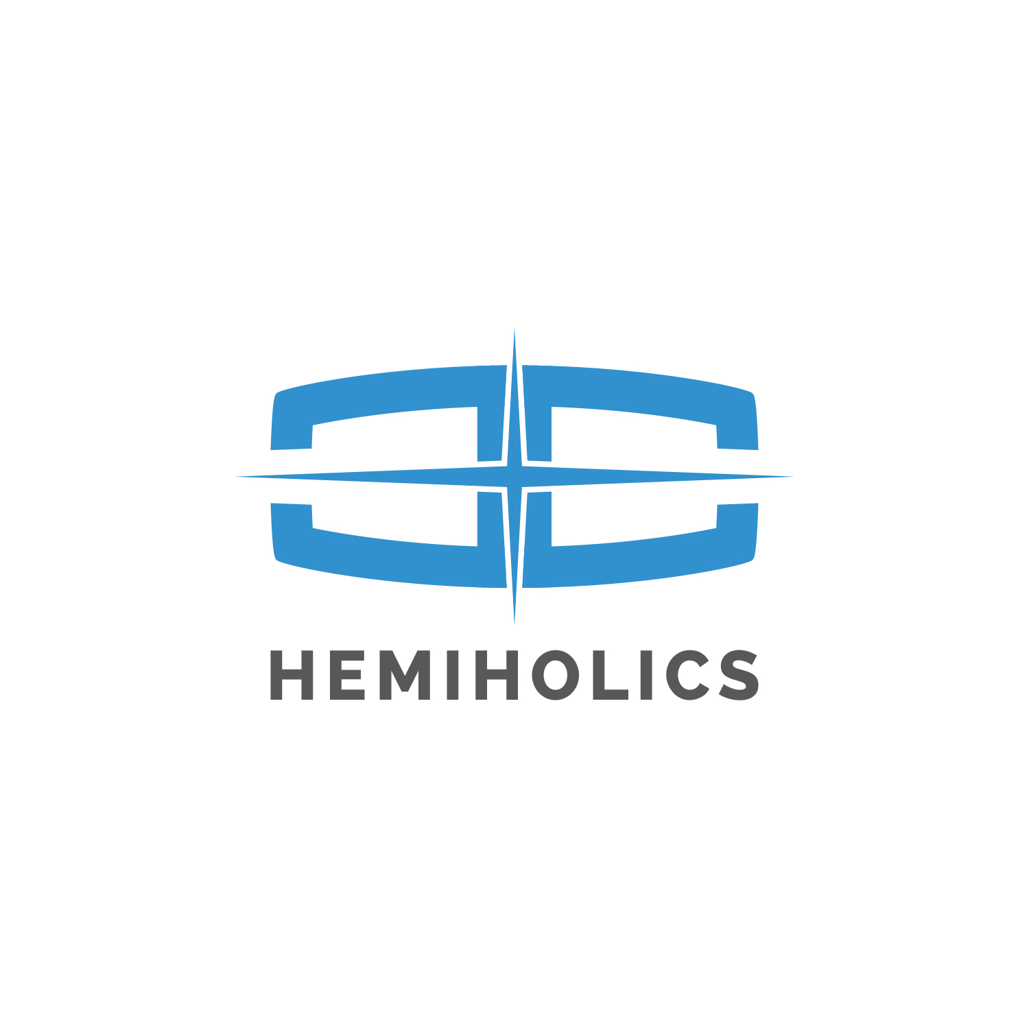 Diseño de Logo por AktharArziki para HEMIHOLICS | Diseño #18230415