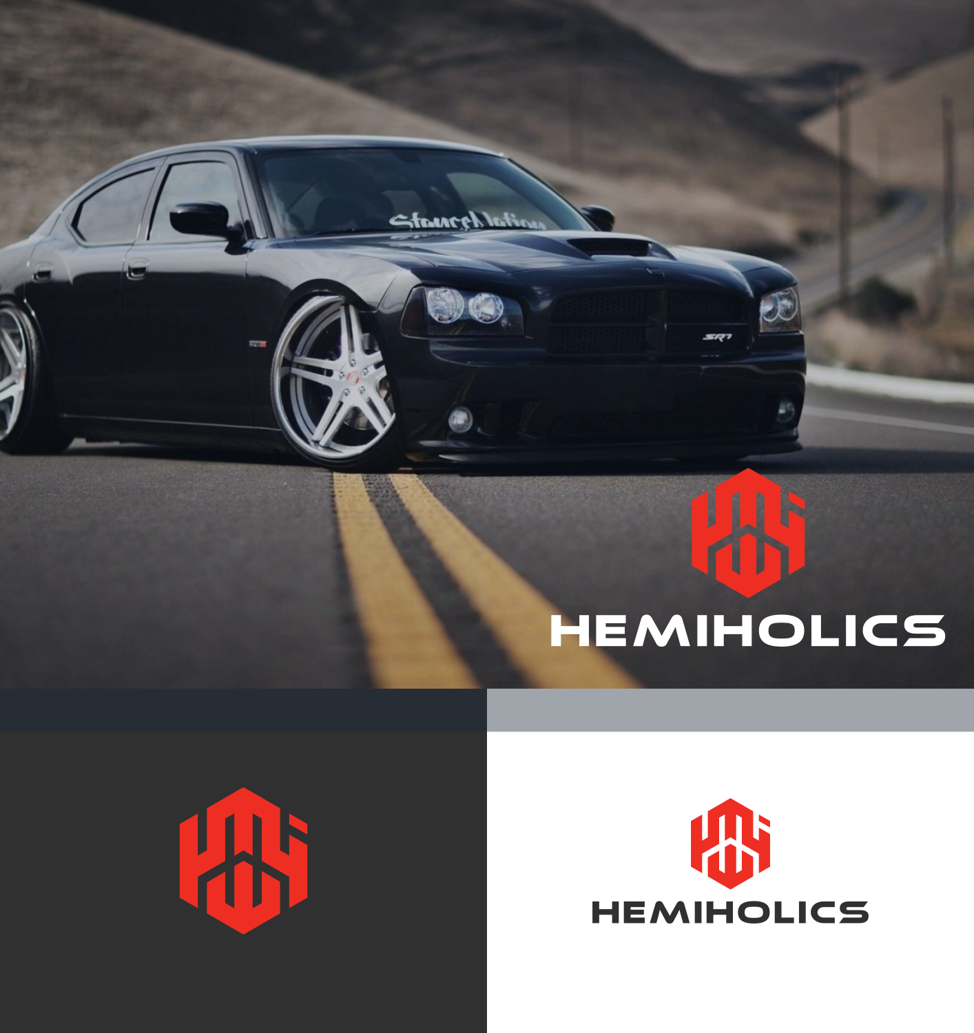 Logo Design by FireBlaster for HEMIHOLICS | Design #18232969