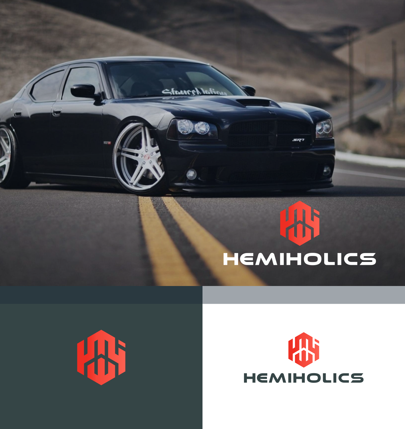 Logo Design by FireBlaster for HEMIHOLICS | Design #18245451