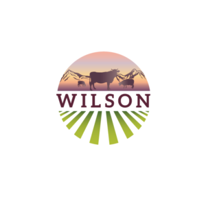 Wilson | Logo Design by rozT
