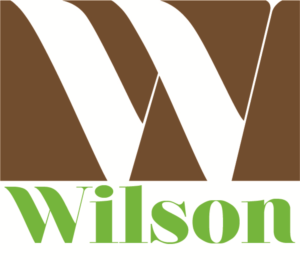 Logo Design by hanilalaina