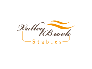 Logo Design by viniandra
