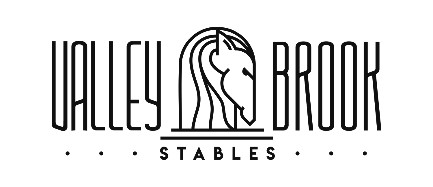 Logo Design by Paula Kenz for this project | Design #18248856