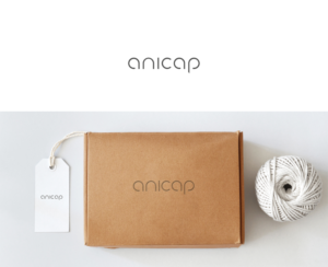 anicap | Logo Design by DominicDesign