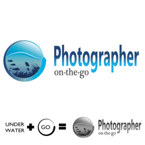 Logo Design by vexel Symphony for this project | Design: #18377470