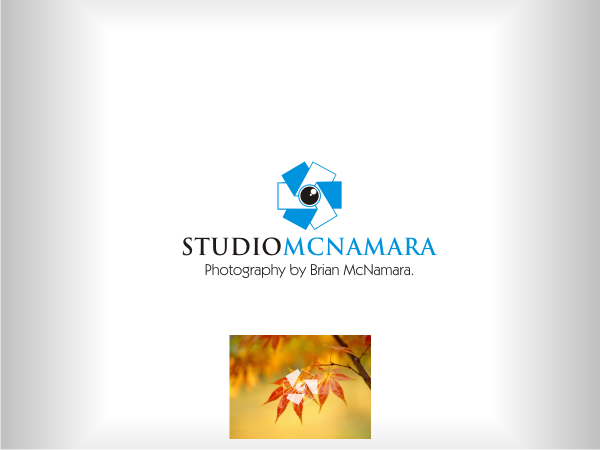 Logo-Design von Ramaling Belkote für dieses Projekt | Design #651320
