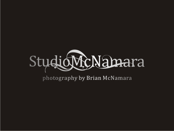 Logo Design by allegra creativa for this project | Design #665548