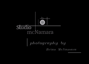 Logo Design by Barbero Gaia for this project | Design: #687051