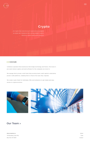 Venture Capital Firm Needs Website Redesign | Web Design by tinthumb