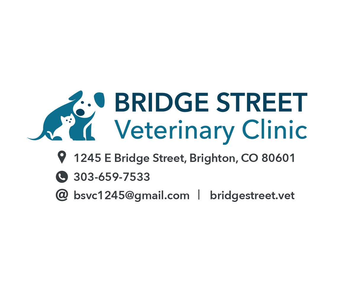 Logo Design by Brewyart Creative for this project | Design #18250845