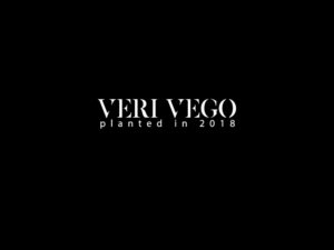 Logo Design by shimu 3 for this project | Design: #18258854