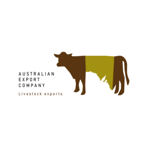 Logo Design by Studio Camel