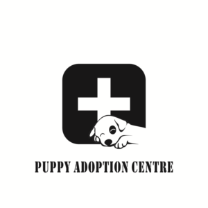 Logo Design by JJ 5