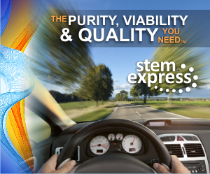 Banner Ad Design by lynd