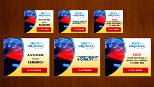 Banner Ad Design by  Artman