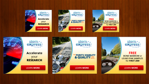 Banner Ad Design by  Artman for this project | Design: #2804354