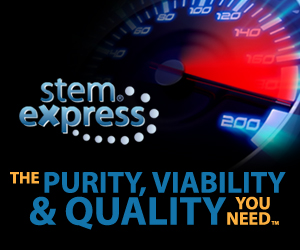 Banner Ad Design by Daniel for this project | Design: #2796675