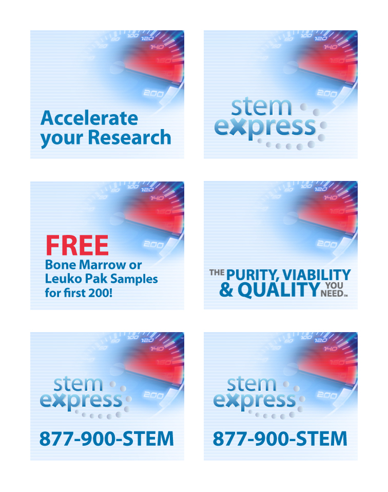 Banner Ad Design by Daniel for this project | Design #2823066