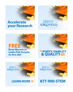 Banner Ad Design by Daniel