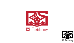 Logo Design by YoursTrulySC for RS Taxidermy  | Design #18268074