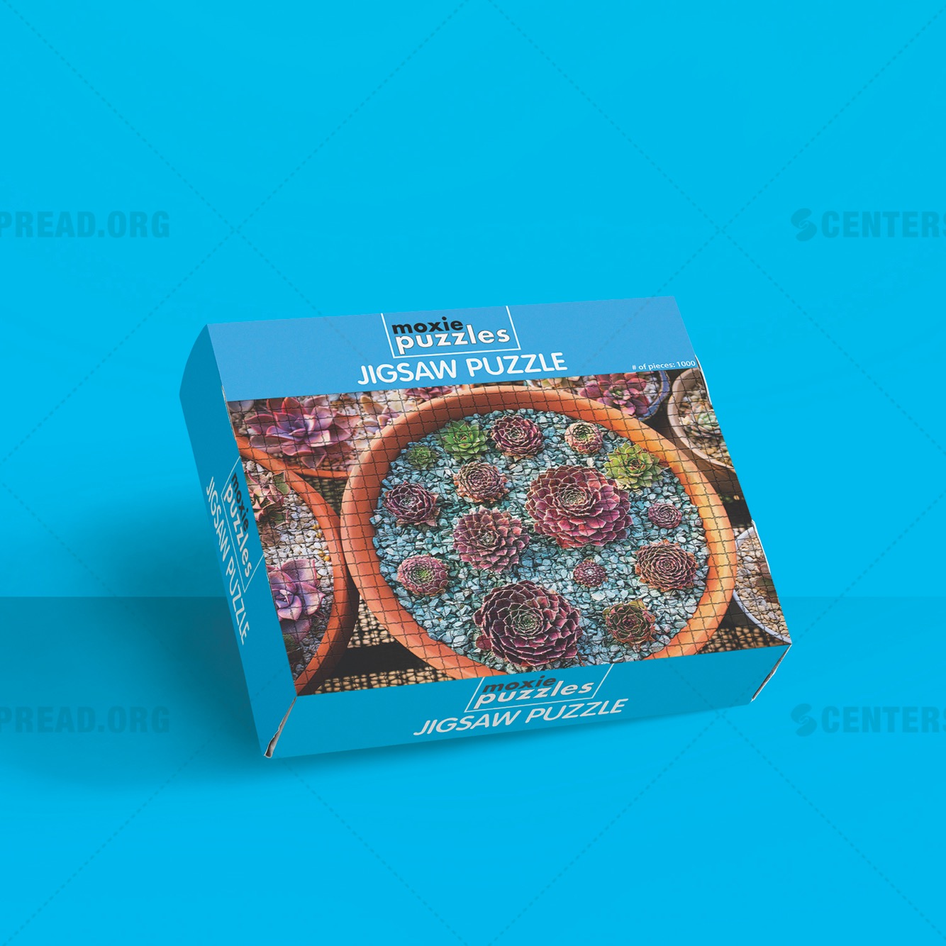 Packaging Design by CENTERSPREAD for Moxie Puzzles | Design #18328052