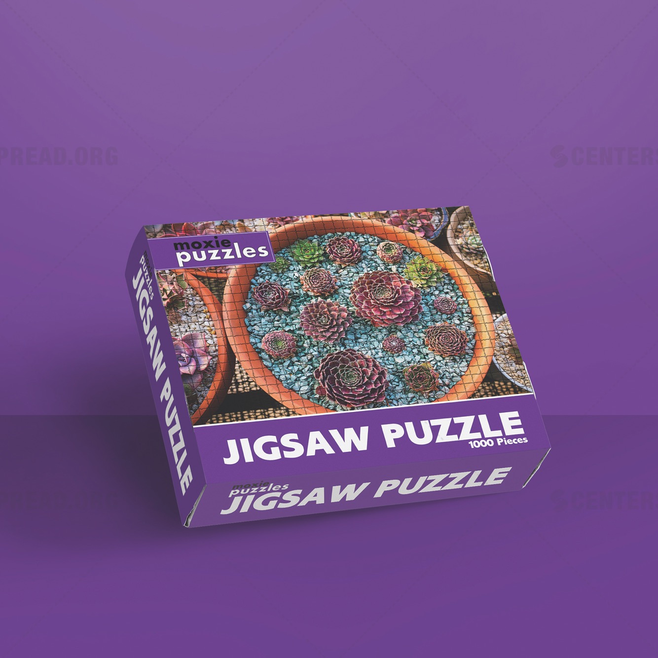 Packaging Design by CENTERSPREAD for Moxie Puzzles | Design #18328053