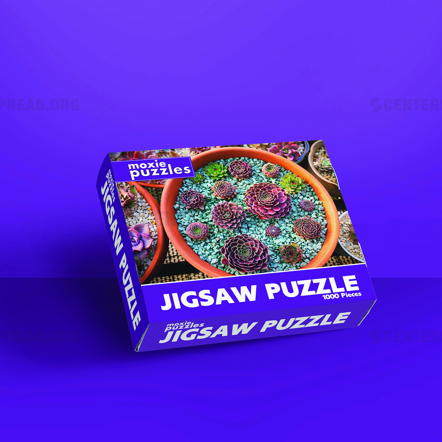 Packaging Design by CENTERSPREAD for Moxie Puzzles | Design #18350093