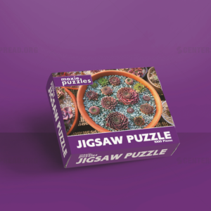 Packaging Design by CENTERSPREAD for Moxie Puzzles | Design: #18350093