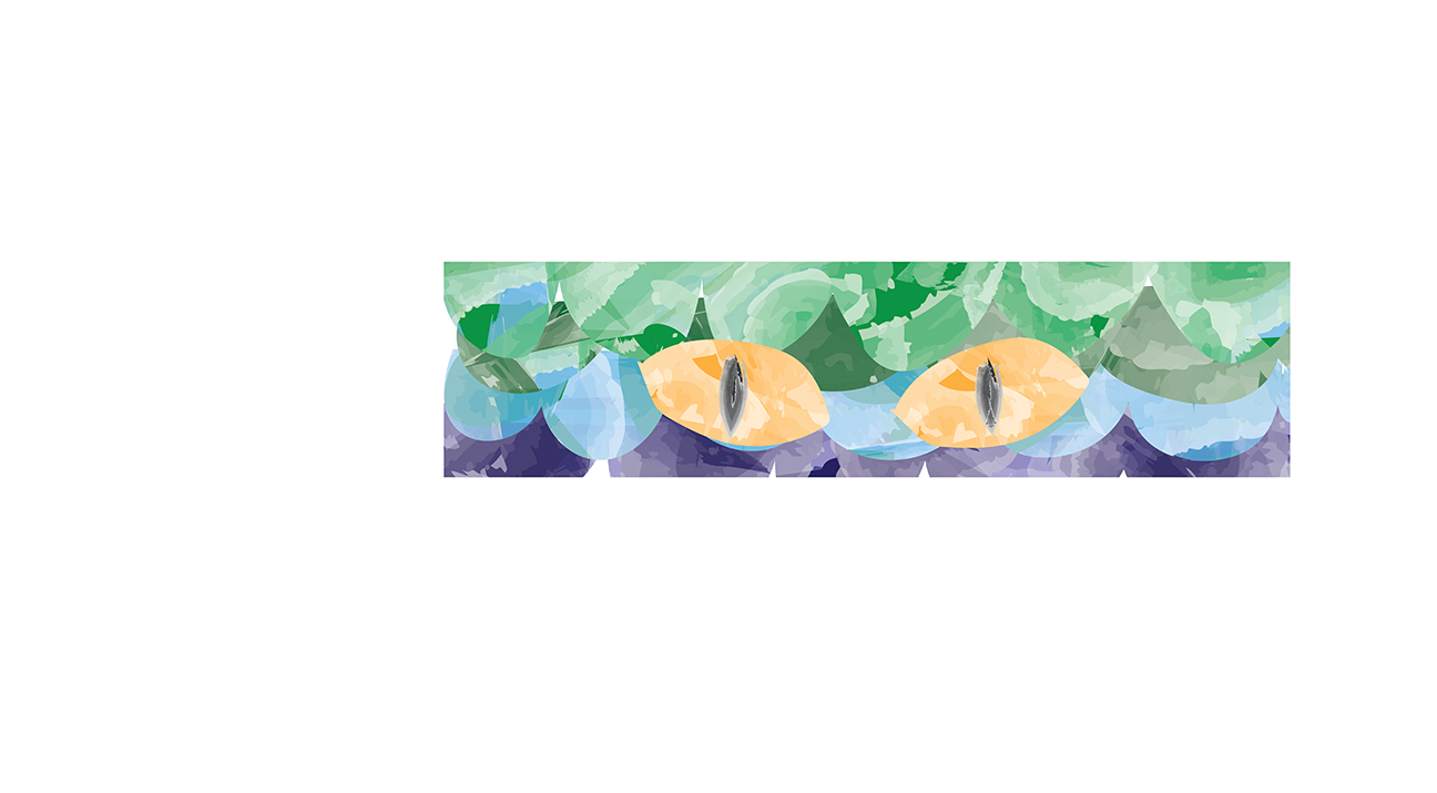 Illustration Design by Holly McGee for this project | Design #18374153