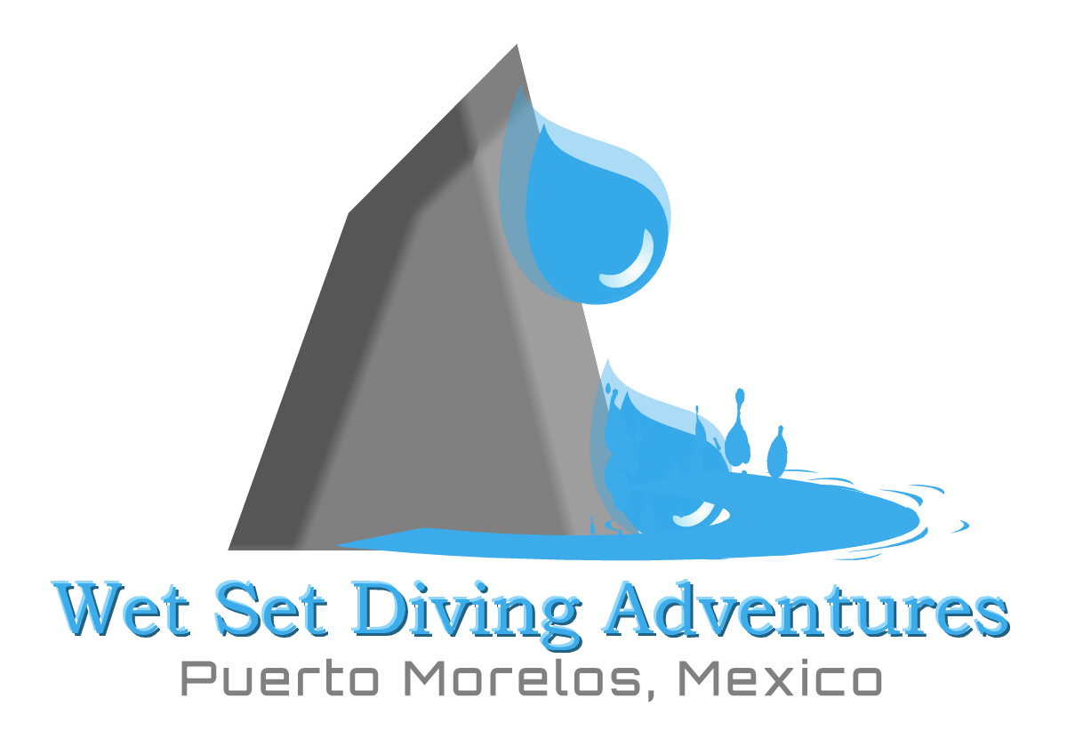 Logo Design by inspiration for this project | Design #650950