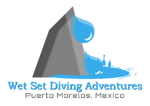 Design de Logo par inspiration pour ce projet | Design : #650950