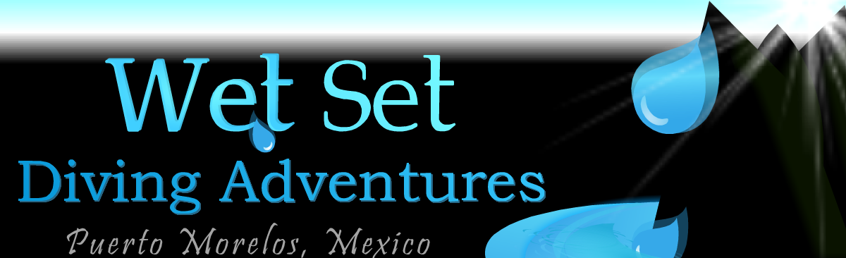 Design de Logo par inspiration pour ce projet | Design #652214