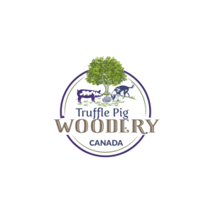 Logo Design by Solarex Corporation