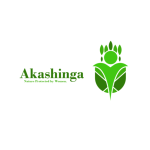 Logo Design by Studio Camel