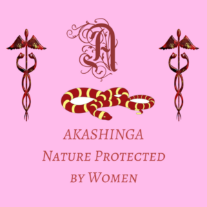 Logo Design by Daniel1993