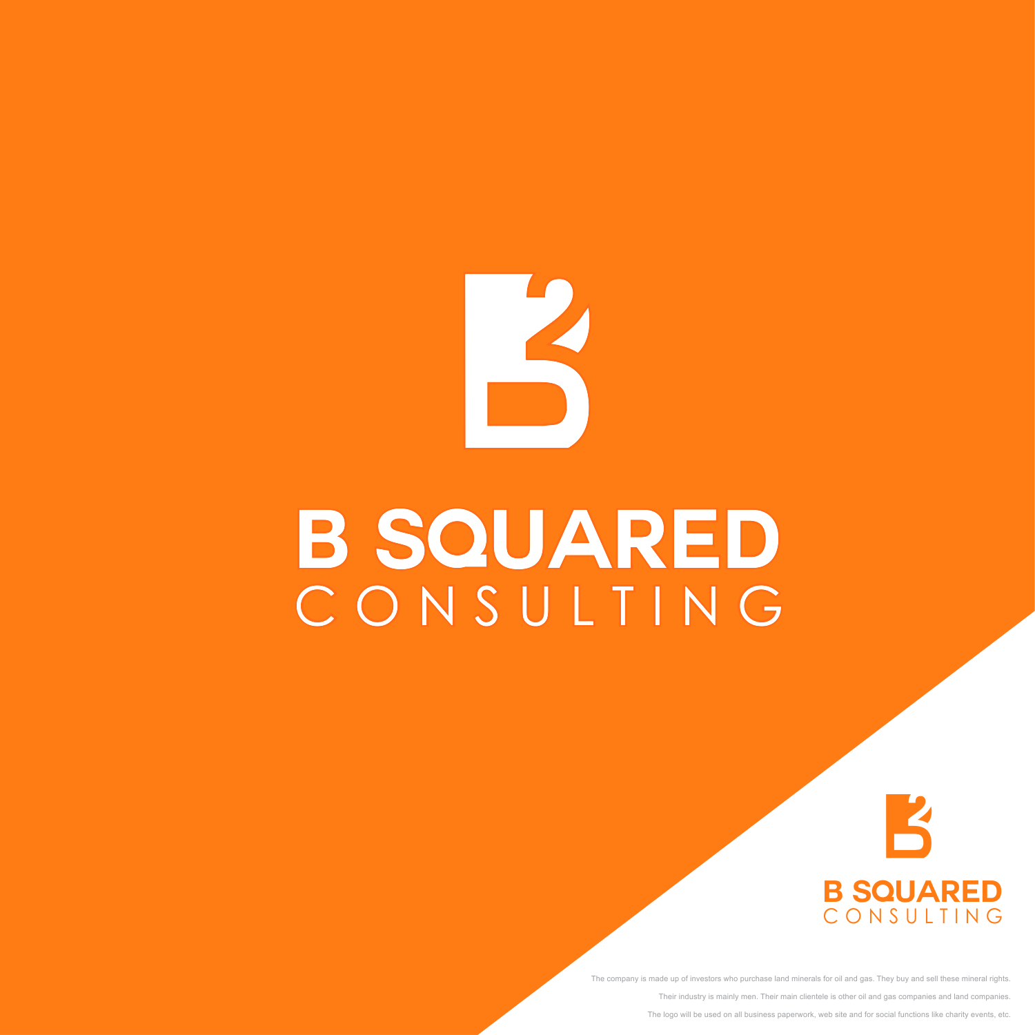 Logo Design by mike edan for B Squared Solutions, LLC | Design #18389418