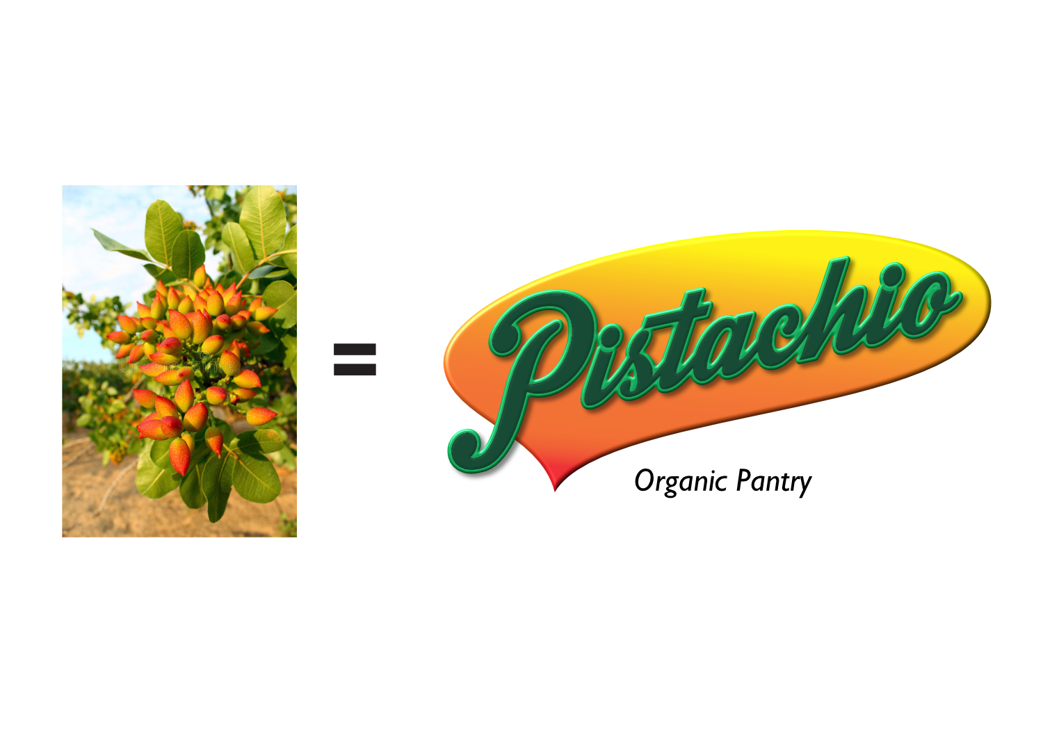 Logo Design by abelardborja 2 for KINGQUEST PTY LTD | Design #18305040