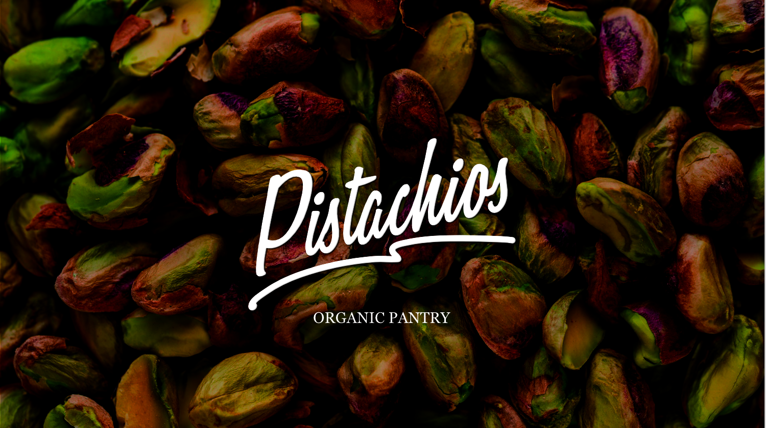 Logo Design by abelardborja 2 for KINGQUEST PTY LTD | Design #18339104