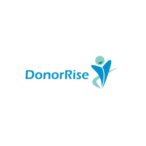 Logo Design by Studio Camel
