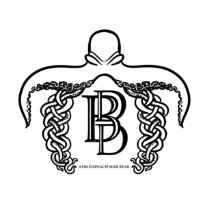 Logo Design by Sorenlorenson Designs