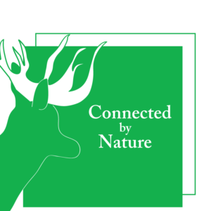 Logo Design by kelsokreations