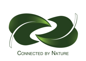 Logo Design by Moggiesdesigns