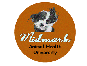 Logo Design by PRAMIX