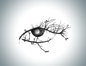 Image of an eye made of tree branches/leaves with the iris being the night sky | Design Graphique par Lezette_G