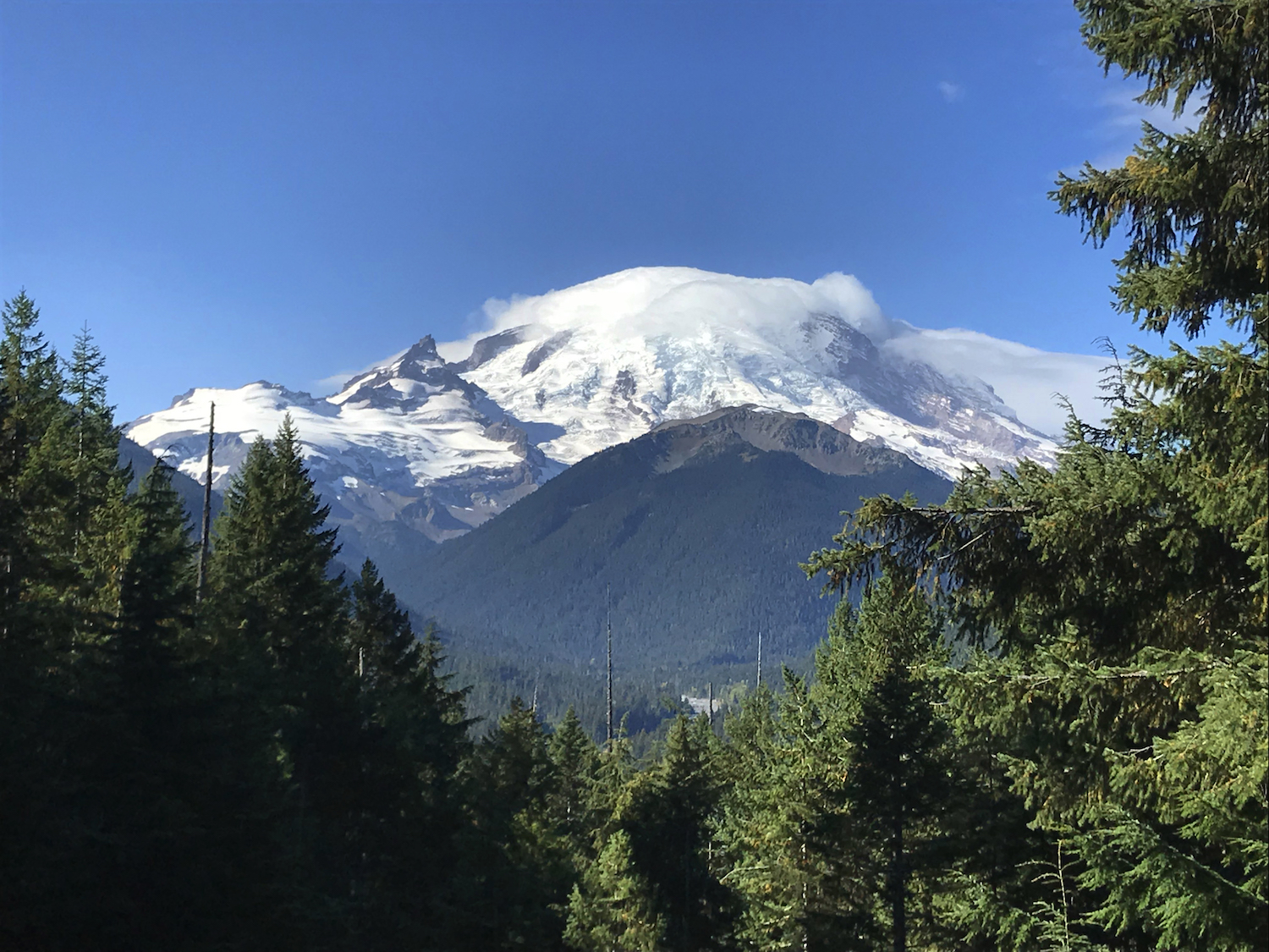 Photography by electronymous for DesignCrowd (Community Contests) | Design #18327922