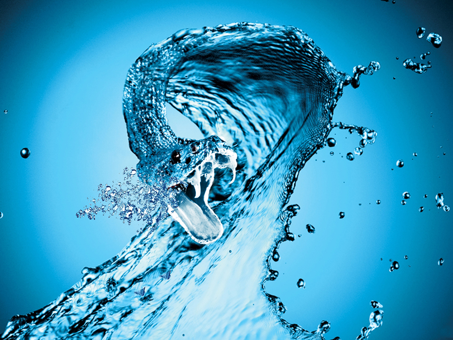 Photoshop Design by frshark for DesignCrowd (Community Contests) | Design #18339695